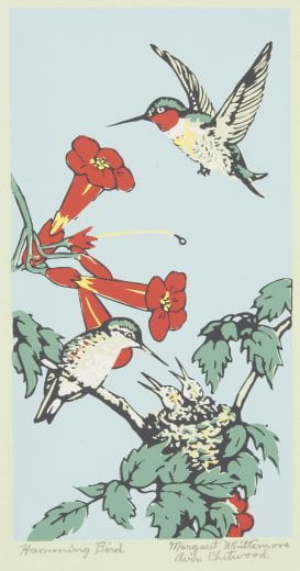 Screenprint titled "Humming Bird" by Avis Chitwood and Margaret Evelyn Whittemore, made 20th century from the Beach Museum of Art collection. Shows a nest in a branch of a tree with open mouthed humming bird babies inside. An older humming bird sitting near and about to feed the babies. Another humming bird flying in the air near a flower. 