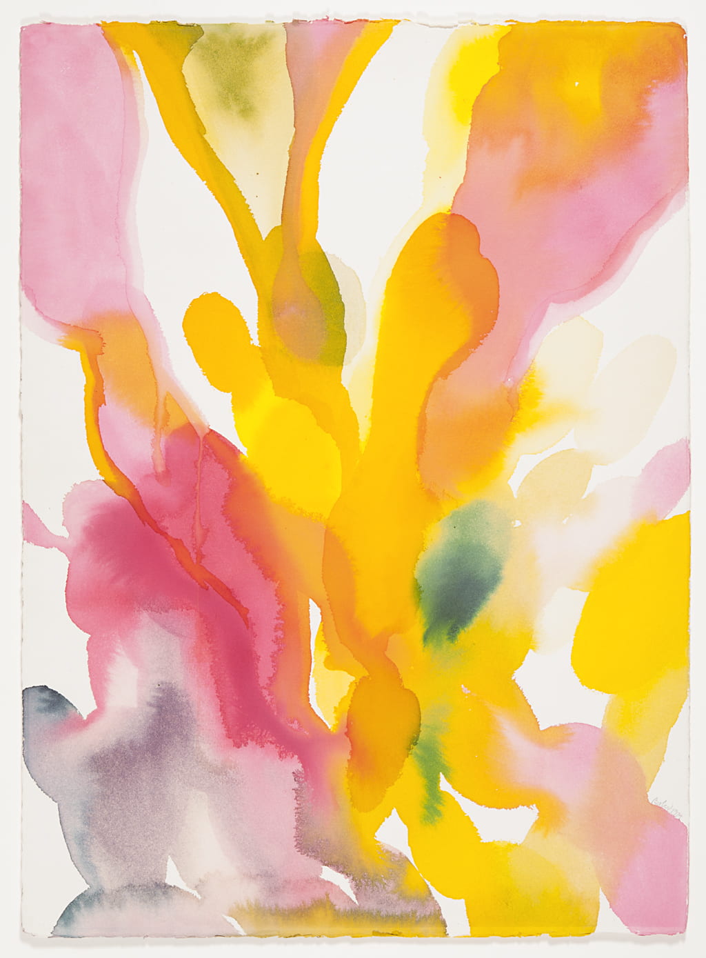 Abstract watercolor painting in pink and yellow