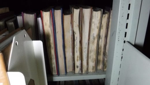 Mold blooms across the fore-edge of several books sitting on metal shelving. 
