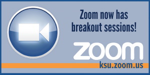 Zoom now has break out sessions