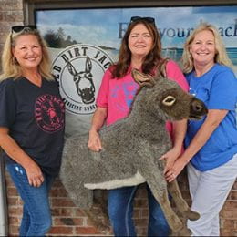 Three women standing in front of store holding stuffed animal donkey toy