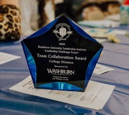 team collaboration award