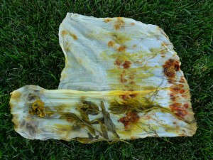 Natural dyes from Meadow Plants. Image by Sherry Haar.