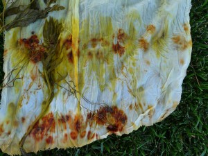 Natural dyes from Meadow Plants. Image by Sherry Haar.