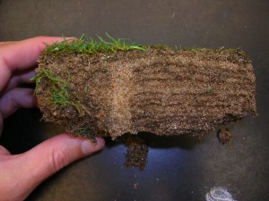 layers and aeration hole